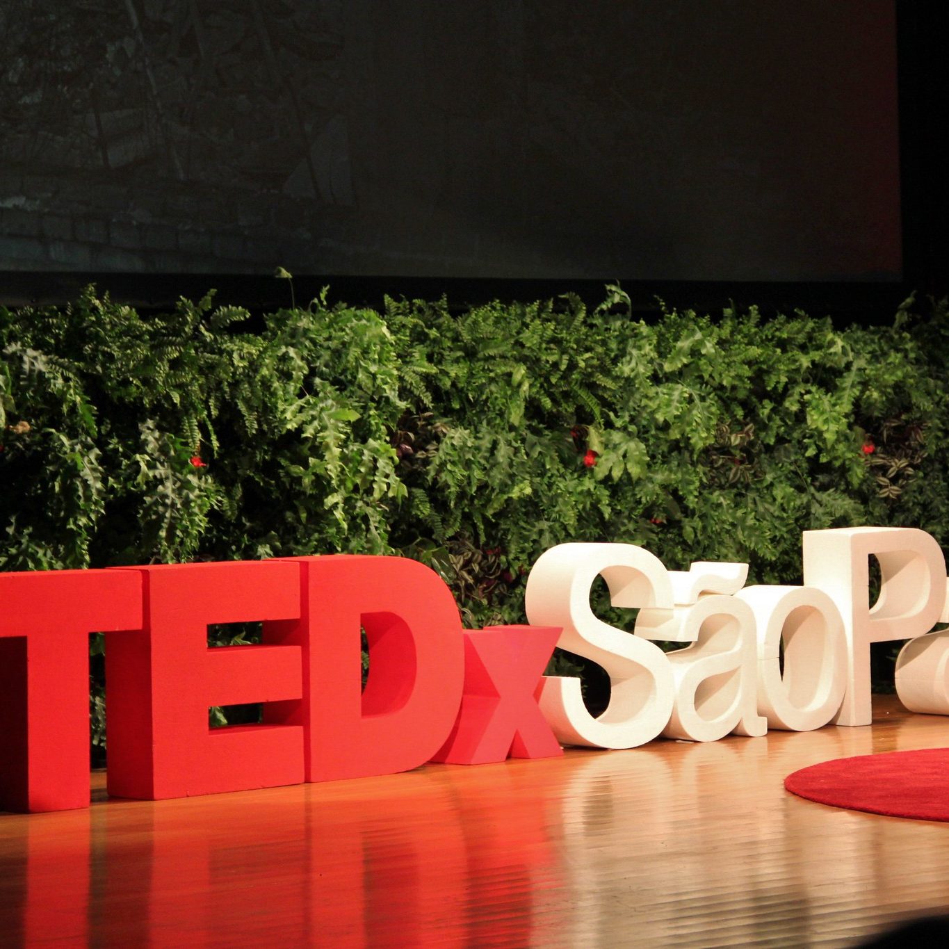 TEDxSãoPaulo reúne lideranças inspiradoras para discutir clima, sustentabilidade e futuro do planeta